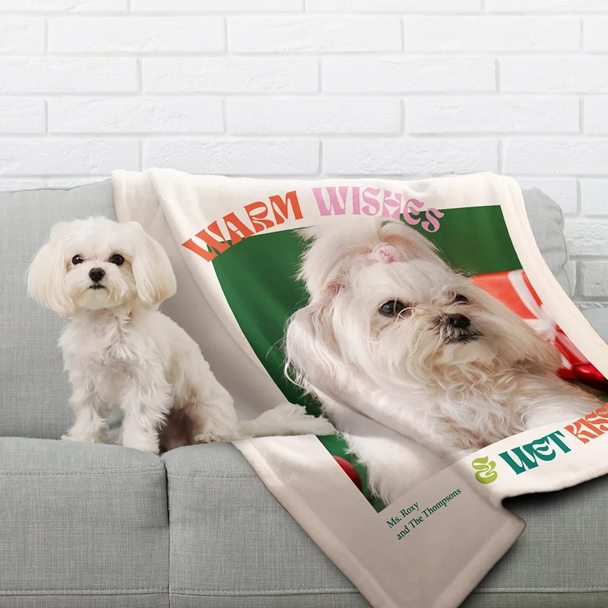 Picture blankets: A small white Maltese dog sitting on a gray sofa next to a personalized pet photo fleece blanket with the text WARM WISHES & WET KISSES.