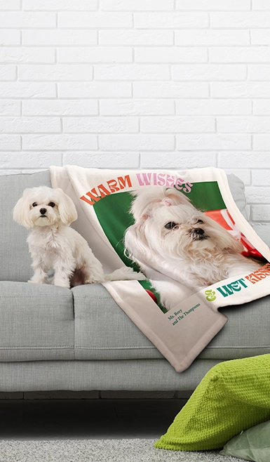 Picture blankets: A small white Maltese dog sitting on a gray sofa next to a personalized pet photo fleece blanket with the text WARM WISHES & WET KISSES.