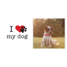 Thumbnail for 14oz Stainless Steel Travel Photo Mug with I Heart Paw Print My Dog design 2