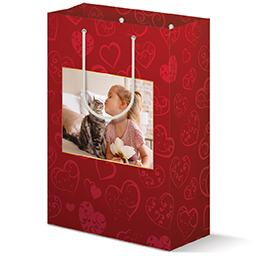 Gift Bag - Matte with Doodle Hearts design