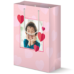 Gift Bag - Matte with Pink Heart Frame design