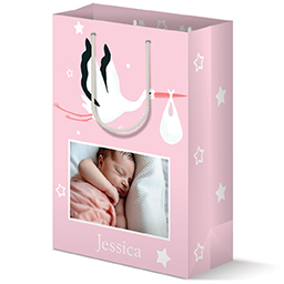 Gift Bag - Matte with Stork Baby Pink design