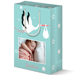 Gift Bag - Matte with Stork Baby Teal design