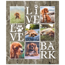 50x60 Plush Fleece Blanket with Live Love Bark design