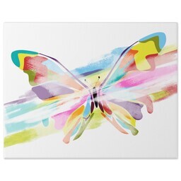 11x14 Gallery Wrap Photo Canvas with Colorfly Butterfly design