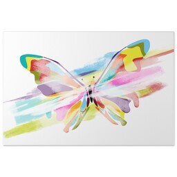 20x30 Gallery Wrap Photo Canvas with Colorfly Butterfly design