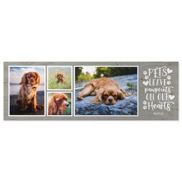 20x60 Gallery Wrap Photo Canvas with Rustic Pawprint design
