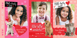 Same Day 4x8 Greeting Card, Matte, Blank Envelope with Cut-Apart Puppies & Kittens design