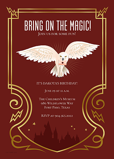 Harry Potter Birthday Invitations - PVC Invites - VIP Birthday