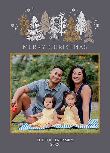 Custom Christmas & Holiday Cards, 5x7 Cardstock, Blank Envelope, Extra  Peace Hope Love