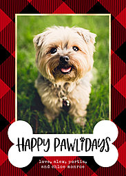 5x7 Greeting Card, Glossy, Blank Envelope with Happy Pawlidays design