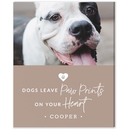 8x10 Desk Canvas with Pet Sympathy design