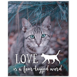 8x10 Desk Canvas with Four Legged Word - Cat design