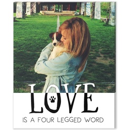 8x10 Desk Canvas with Love Is A Four Legged Word design