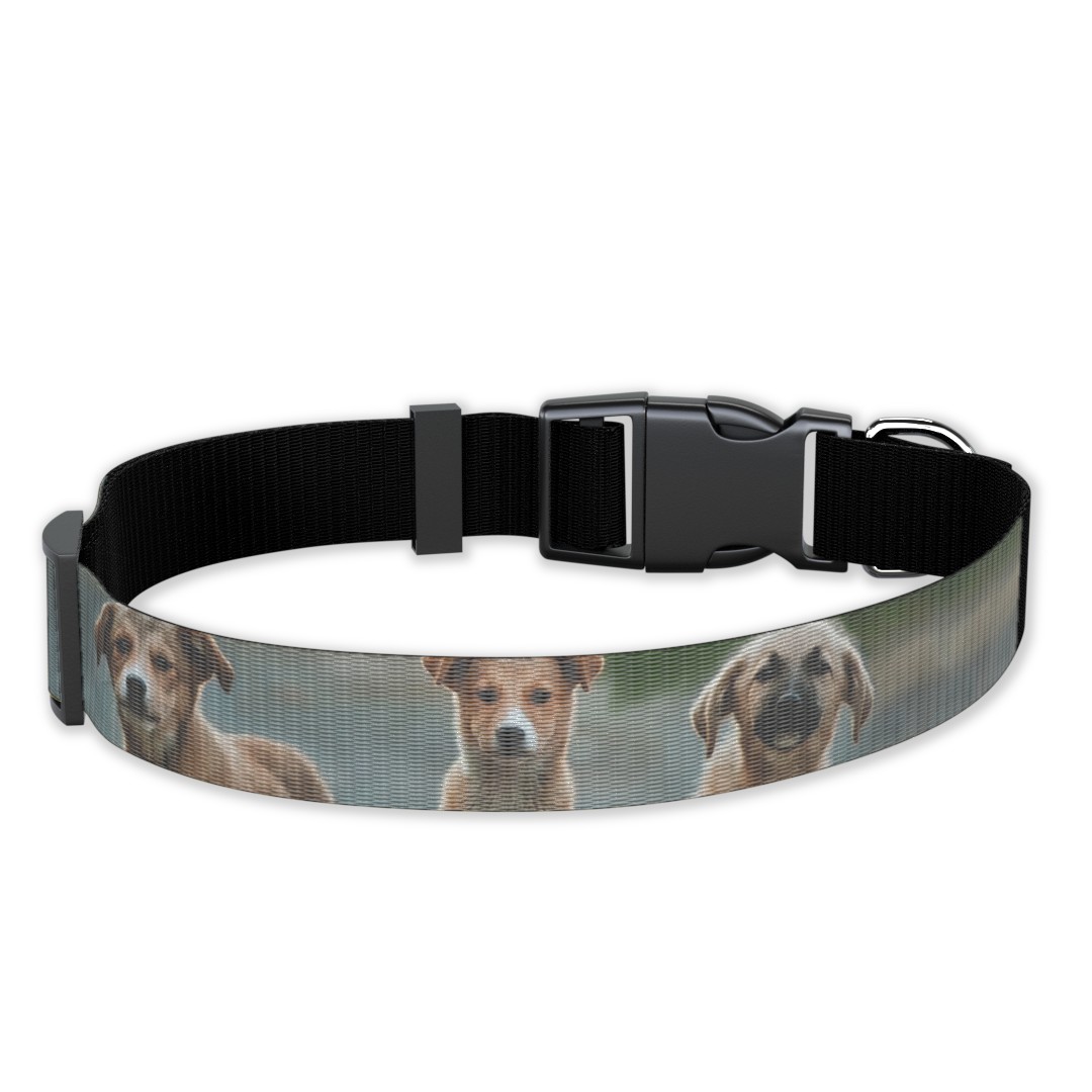 Large dog collars sales walmart