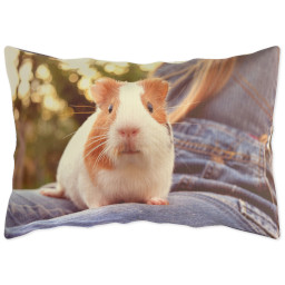 Outdoor Pillow 14x20 with Full Photo design