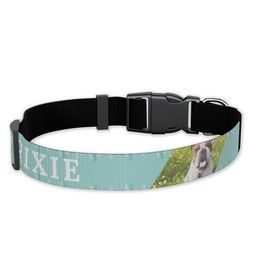 Pet Collar, Large with Cactus Sweetie design