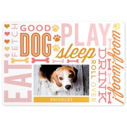 Pet Mat with Dog Days design