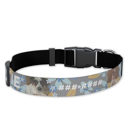 Pet Collar, Large with Friendly Blooms design
