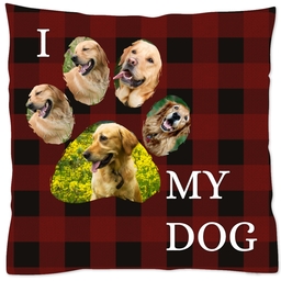 16x16 Throw Pillow with I Paw My Dog design