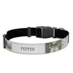 Pet Collar, Large with Little Boo Bud design