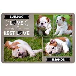 Pet Mat with Love Puppy design