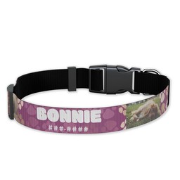 Pet Collar, Large with Metallic Paws - Magenta design