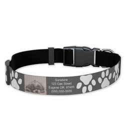 Pet Collar, Large with Puppy Prints design