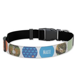 Pet Collar, Large with Ring Around The Puppy design
