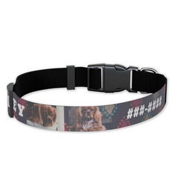 Pet Collar, Large with Tribal Vibes design