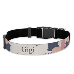 Pet Collar, Large with Abstract Paint design