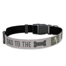 Pet Collar, Large with Bad to the Bone design