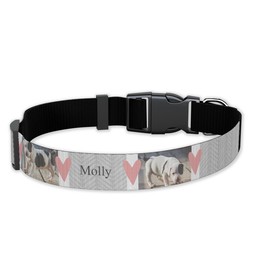 Pet Collar, Large with Cute Puppy Love design