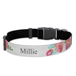 Pet Collar, Large with Painted Poppies design