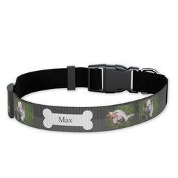 Pet Collar, Large with Woof design