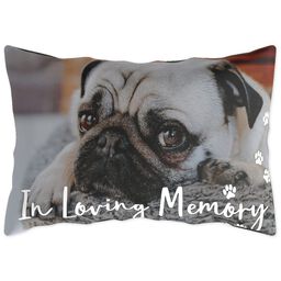 Outdoor Pillow 14x20 with Pet Memory design