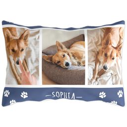 Outdoor Pillow 14x20 with Pet Me Please design