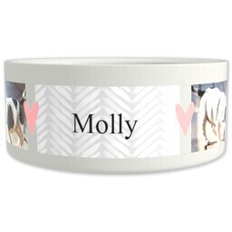 Pet Bowl 9oz with Cute Puppy Love design