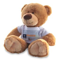 Thumbnail for Photo Teddy Bear with Blue Facts design 2