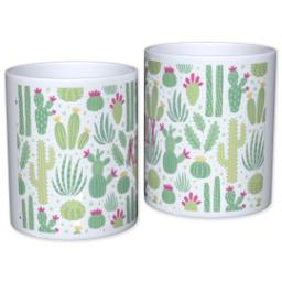 Thumbnail for Personalized Succulent Pot with Colorful Cactus design 1