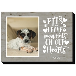 5x7 Same-Day Mounted Print with Rustic Pawprint design