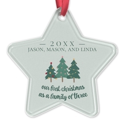 Acrylic Star Ornament with Christmas Tree Family design