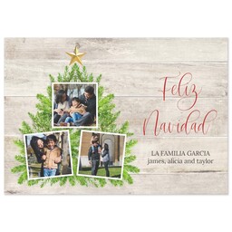 3.5x5 1 Hour Postcard with Snapshot Christmas Tree design