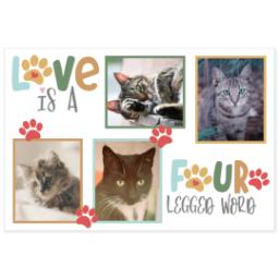 Thumbnail for Custom Stainless Steel Water Bottle - White with Four Legged Love design 2