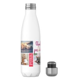 Thumbnail for 17oz Slim Water Bottle with Positive Feline design 4