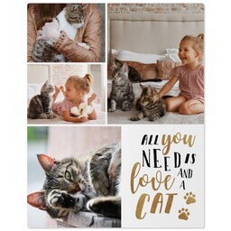 11x14 Metal Photo Wall Decor with Loving Cat design
